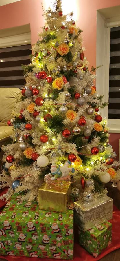 Holiday Home Noras Nams Cēsis 외부 사진